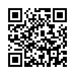 ������˫