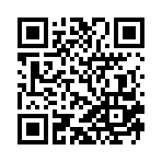 ������˫