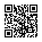 �����������޳���