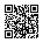 ��������4��Ԫ���