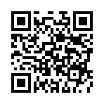 �����������Ԫ��Ͷ��