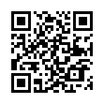 ���������߷���VIP