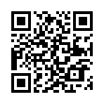 ������׽��������